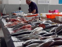 Métaux lourds : comment limiter son exposition ?