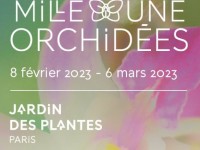 Mille et une orchidées : une exposition au Jardin des plantes