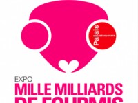 Mille milliards de fourmis : une exposition au Palais de la découverte