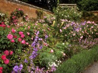 Mixed border : comment créer une bordure mixte à l'anglaise ?