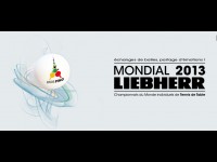 Mondial Ping Tour 2013