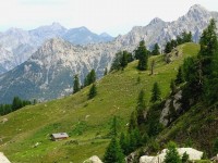 Montagne en été : découvrez le Val d'Escreins