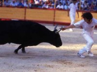 Montpellier : une ville aux multiples visages