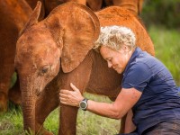 Muriel Robin et Chanee sur la terre des éléphants : un documentaire émouvant sur France 3