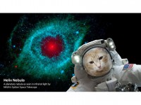 NASA Selfies : une appli pour prendre des selfies dans l'espace