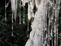 Noces végétales : une exposition féerique au Jardin des Plantes