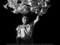 Noir et Blanc : l'expo photo du Grand Palais se découvre en ligne