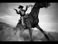 Objectif cheval : une exposition photo gratuite à Deauville