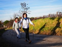 Octobre Rose : sport et cancer du sein en 5 questions