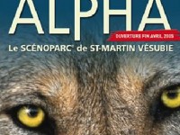 Parc Alpha : le parc des loups