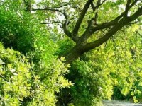 Parcours photographiques : une exposition gratuite à Nice