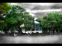 Parenthèse verte : une expo photo en plein air à Nice