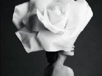 Patrick Demarchelier, Images et Mode : une exposition à découvrir au Petit Palais