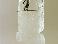 Patrick Tosani, images construites : une exposition au TPI de Nice