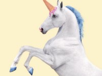 Paul Fuentes : un artiste aux créations pop et surréalistes