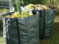 Peut-on brûler les déchets verts dans son jardin ?