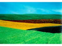Photo : 5 choses à savoir sur Franco Fontana