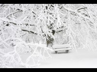 Photo : 5 conseils pour photographier la neige