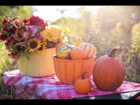 Photo de nature morte : 5 conseils pour débuter