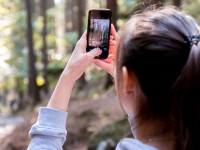 Photos de vacances : 5 conseils pour sauvegarder des photos