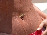 Piercing : quels sont les risques ?