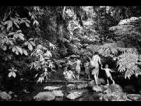 Pierre de Vallombreuse : un ethno-photographe engagé