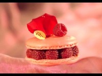 Pierre Hermé : la pâtisserie élevée au rang de l'art