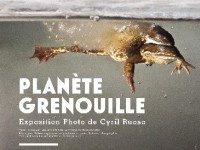 Planète Grenouille : des photographies de Cyril Ruoso au Jardin des Plantes
