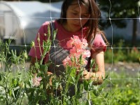 Plein Air : des fleurs cultivées en plein coeur de Paris