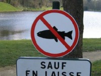 Poisson d'avril : les origines de cette tradition