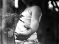 Polaroid Horizons : une exposition collective à Paris