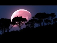 Pourquoi la super lune rose d'avril est si spéciale
