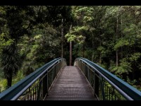 Pourquoi les résolutions du Nouvel An ne durent pas