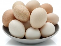 Pourquoi ne mange-t-on pas les œufs de dinde ?