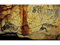Préhistoire : 5 choses à savoir sur la grotte Cosquer