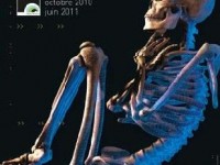 Préhistoire(s), l'enquête : une exposition passionnante à Toulouse