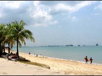 Préservation du littoral : 10 gestes écolos à la plage et en mer