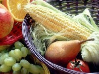 Prévention du cancer : quelle alimentation privilégier ?