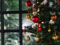 Prime de Noël de la CAF : tout comprendre en 5 questions