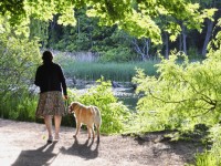 Promener son chien en forêt : quelles sont les règles à respecter ?