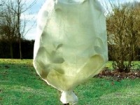 Protéger les plantes en hiver : mode d'emploi