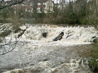 Qu'est-ce qu'un épisode cévenol ?