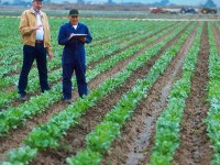 Quels sont les métiers qui recrutent en 2016 ?