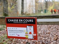 Randonnée en période de chasse : 5 conseils de sécurité