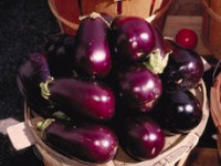 Recette des penne aux aubergines