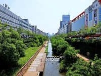 Réchauffement climatique : pourquoi végétaliser les villes ?