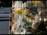 Réduire ses déchets : guide pratique