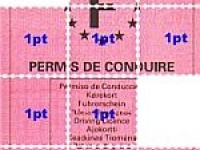 Réforme du permis à points
