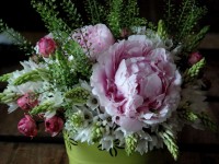 Saint-Valentin écolo : quelles fleurs offrir ?