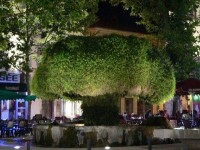 Salon de Provence : une ville typiquement provençale